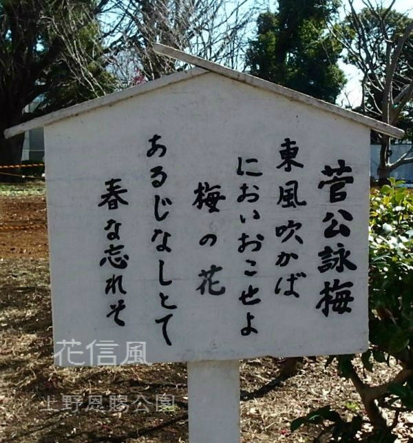 東風 吹か ば 匂 ひ おこせよ 梅 の 花 あるじ なし と て 春 な 忘れ そ 意味