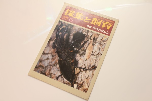 昆虫フィールド 16冊 くわがたマガジンのバックナンバー (15件表示) | 雑誌/定期購読