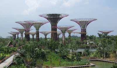 ナウシカのオウムみたいなアレ ガーデンズ バイ ザ ベイ Gardens By The Bay オープン シンガポールねた