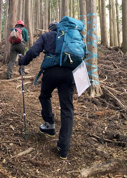高室山（818m） 滋賀県多賀町 2019/12/09 : ☆しの☆の低山日記