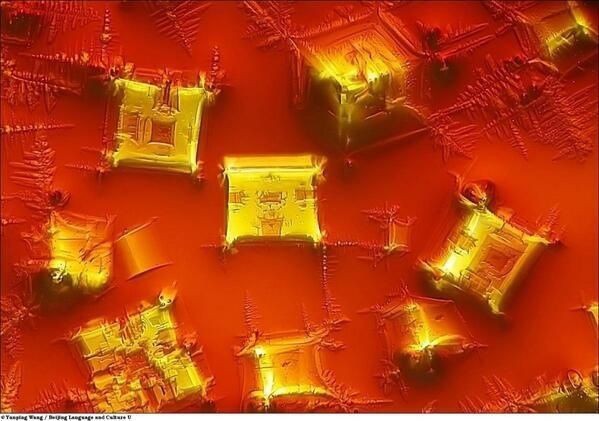 醤油の結晶 しおたく日記