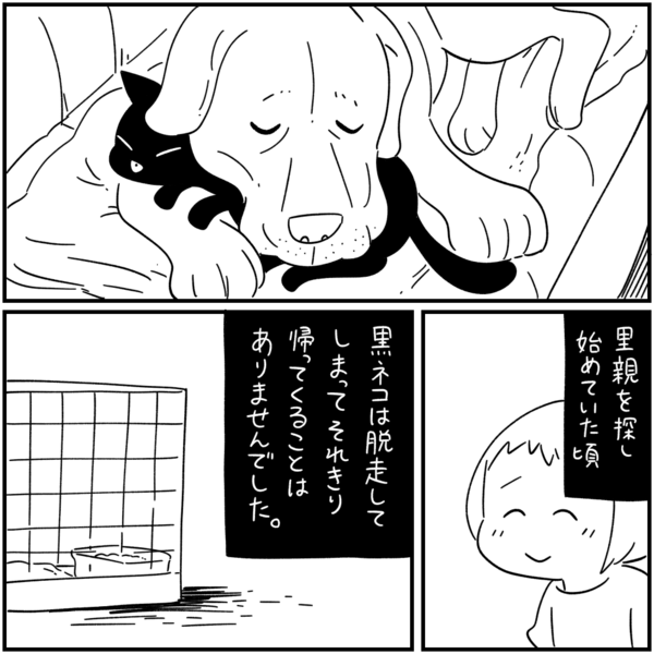 怖い話54 黒猫とラブ しろやぎの漫画おおめブログ Powered By ライブドアブログ