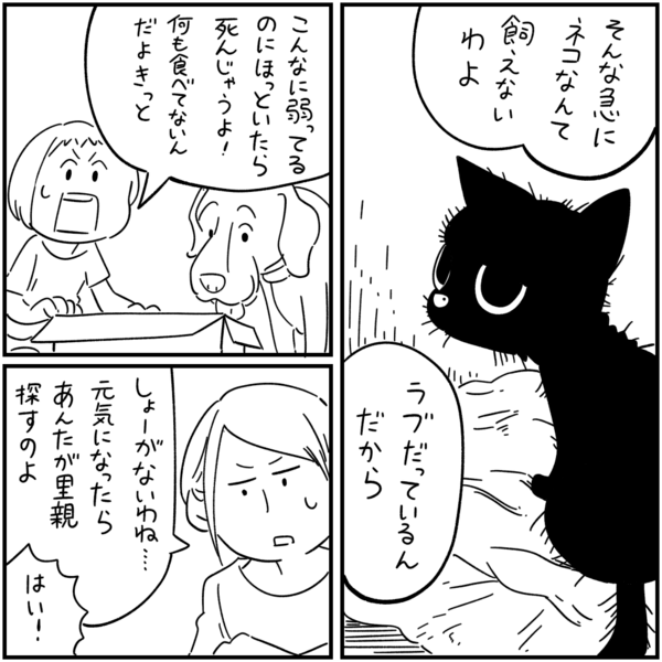 怖い話54 黒猫とラブ しろやぎの漫画おおめブログ Powered By ライブドアブログ