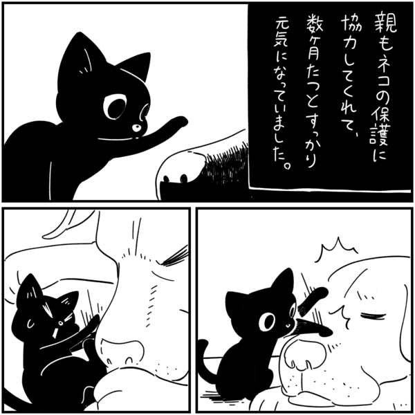 怖い話54 黒猫とラブ しろやぎの漫画おおめブログ Powered By ライブドアブログ