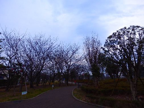 風景 画像 壁紙 待ち受け その2 30枚 壁紙 画像 待ち受け速報 高屋敷