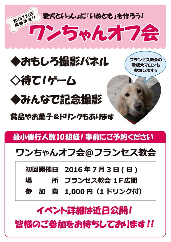 犬 画像 壁紙 待ち受け その28 30枚 壁紙 画像 待ち受け速報 高屋敷