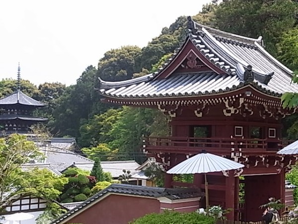 彡花の當麻寺様は継母に虐待されたお姫様の伝説と仏像他文化財でも有名です 富士山虎子のブログ