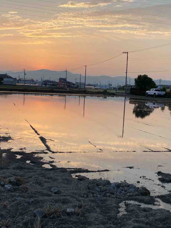 癒される 水田風景 体験工房 じゃが 丸