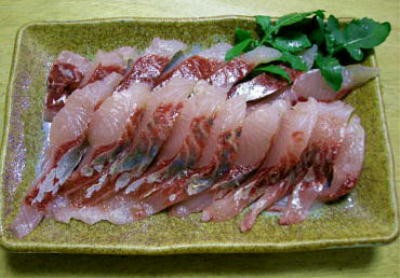 珍魚の味覚その２ 鰡の刺身 ウパくん今日も行く