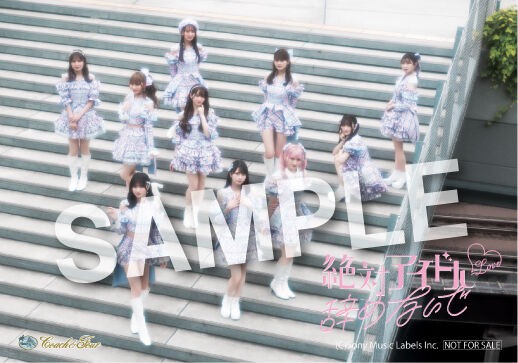 =LOVE イコラブ 17枚目 絶対アイドル辞めないで 応募券 15枚 LOVE（イコールラブ）/ 17th Single『絶対アイドル辞めないで