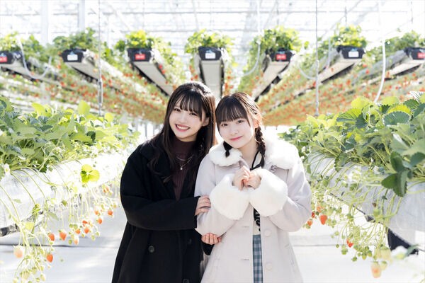 ≒JOY] 市原愛弓×山野愛月『ニアジョイどらい部』連載第3回公開