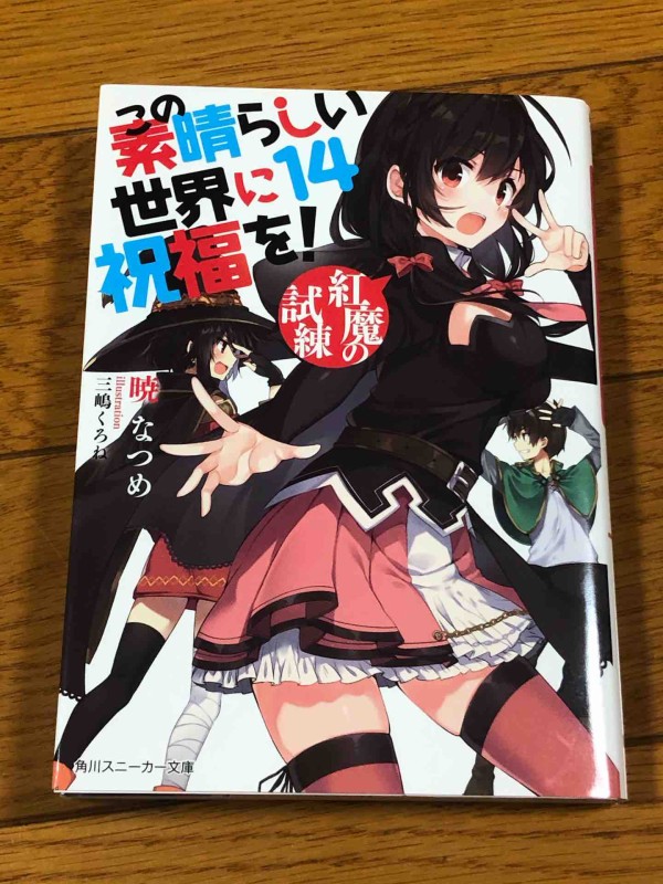 この素晴らしい世界に祝福を １４ スケッチブック