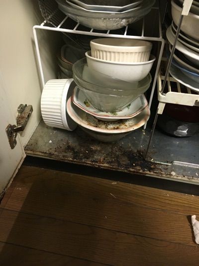 ガビガビのサビだらけのシンク下の掃除 捨てて何もない家に まちエモン