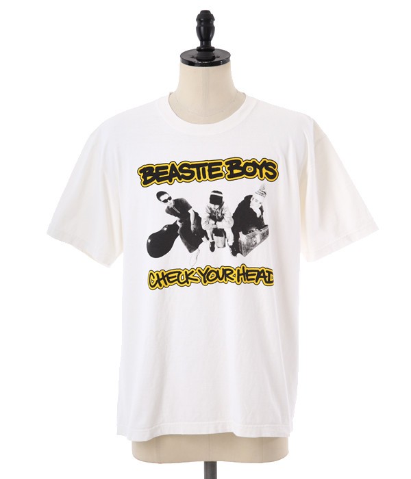 VOTE MAKE NEW CLOTHES BEASTIE BOYS CHECK YOUR HEAD : SKOOL OF DAZE