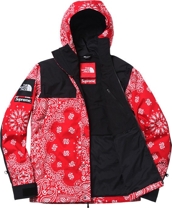 SUPREME THE NORTH FACE 2014 FW BANDANA COLLECTION : SKOOL OF