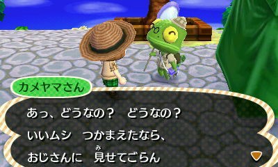 ２８８ ムシとり大会用データ ショウリョウバッタ・ミツバチ編【とびだせどうぶつの森】 : とび森で村長生活（仮）