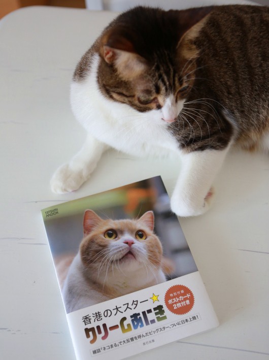 兄貴に会いに ミミオレ Powered By ライブドアブログ