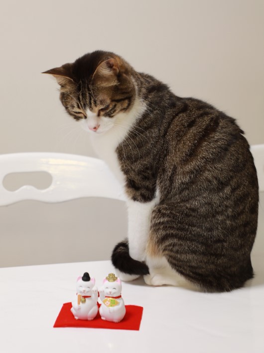 まめ 雛人形 猫雛 土鈴 おひなさま ねこ 仕分ける