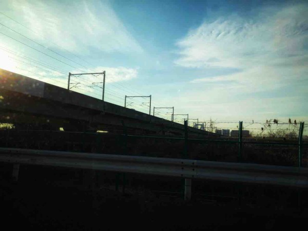 冬の朝の日差し Sky Roots 海と空の境目で
