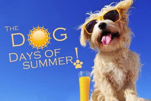 Dog Days Of Summer 使える英会話 英語表現の意味や由来 スラング英語 Com