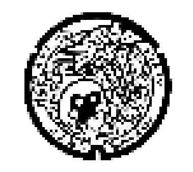 こうかはばつぐんだ 豊橋のポケモン化石博物館 ポケふた 豊橋商工会議所オフィシャルブログ Toyohashi Bizoo