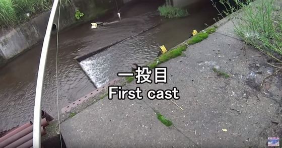 海外 その竿をくれ 投げ込んだ瞬間に魚をヒットさせる日本の釣り人を見た海外の反応 すらるど 海外の反応