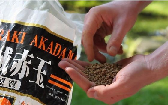 海外の盆栽家 日本の赤玉土はどれが良いんだろうか 日本の盆栽用赤玉土に対する海外の反応 すらるど 海外の反応