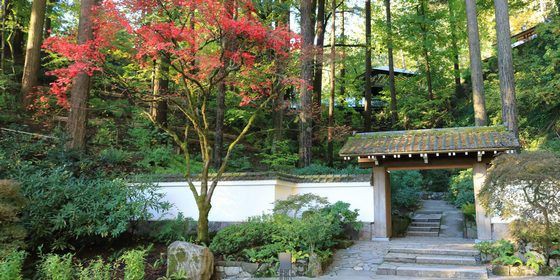 海外 ポートランド日本庭園で今年の紅葉を撮ってきた ポートランド日本庭園の紅葉の木に対する海外の反応 すらるど 海外の反応