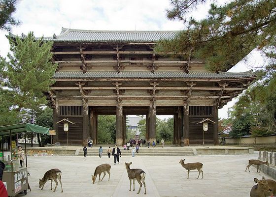 海外 日本旅行で奈良が一番だったという人 どんなことをしたのか教えてほしい 奈良の観光スポットに対する海外の反応 すらるど 海外の反応