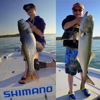 海外の釣り人 今までもこれからも使い続ける 日本の釣り具メーカー シマノに対する海外の反応 すらるど 海外の反応