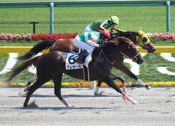 キャロットc ２０２０年度募集予定馬一覧のご案内 スライムの競馬ブログ