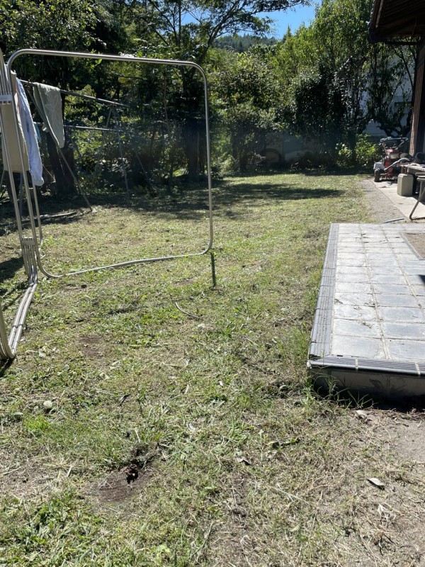 ご褒美ワイン My Favorite Mistake