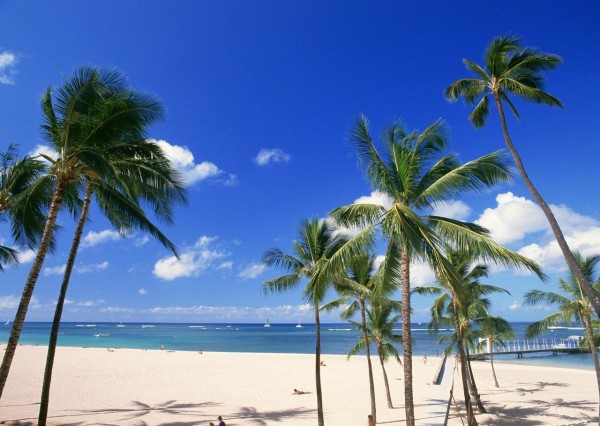ハワイって1年中暖かいの ハワイの1年間の天候や気温について ハワイ大好きっ子
