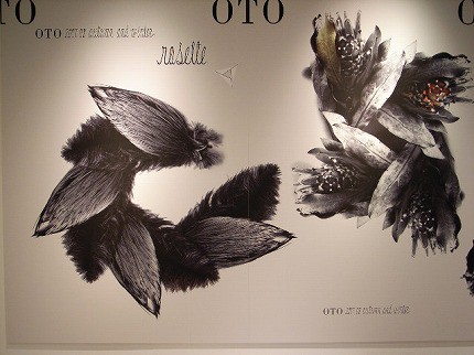 JAGDA新人賞受賞作家作品展2008 : 世の中の体温をあげる 株式