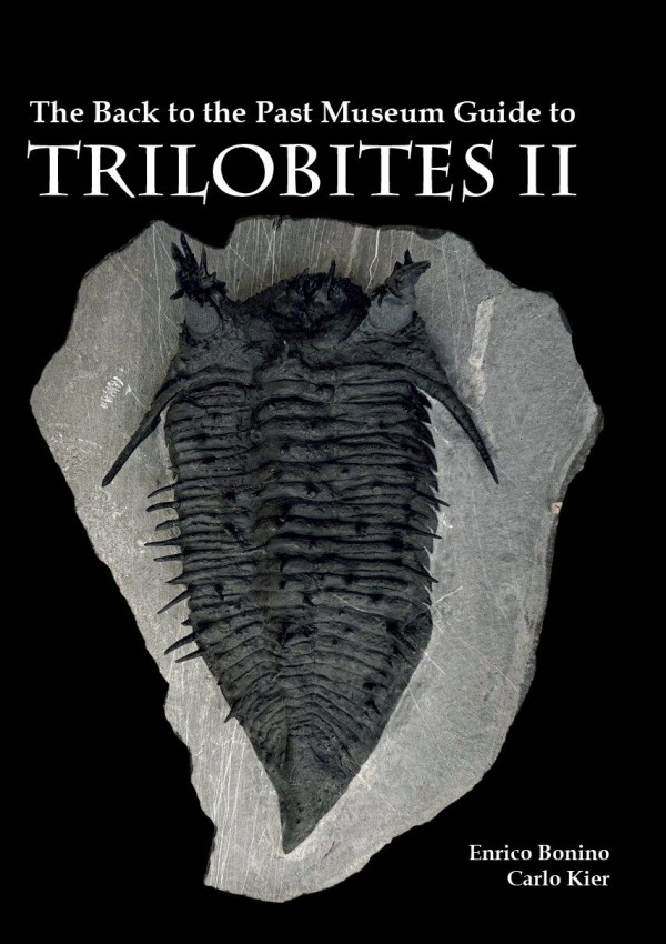 The Back to the past Museum Guide to Trilobites 2 ~Review~ : 三葉虫の世界