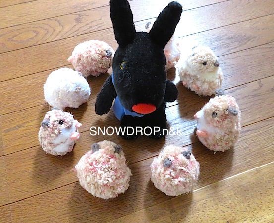 黒うさぎ、ぼうずくん！の紹介や毛束とラビットダンスの話