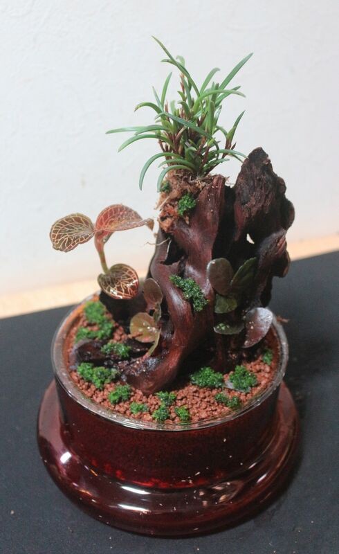 ADA　CELL アンバー＆トロピカルソイル2ℓ ADA CELL アンバー＆トロピカルソイル2ℓ ADA CELL アンバー