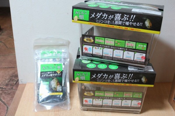 ミジンコの卵が入荷しました アクアマリン