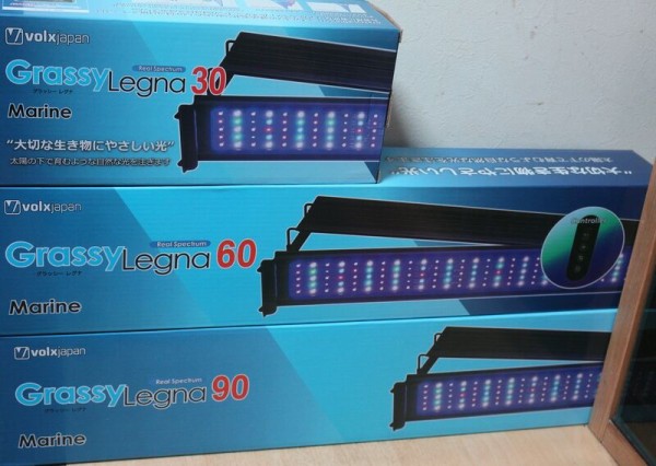 グラッシーレグナ　マリン　90 ボルクス グラッシーレグナマリン 90 GrassyLegna Marine90 90cm