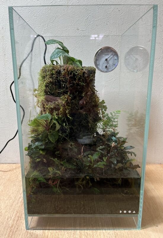 ADA DOOA テラベース160セット ADA DOOA テラベース160セット
