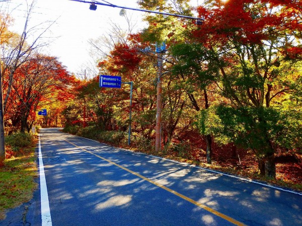 塩原温泉紅葉情報 19 11 04 愁麗 あきうらら 紅葉がまぶしい季節です 奥塩原温泉地区編 塩原温泉ビジターセンター通信