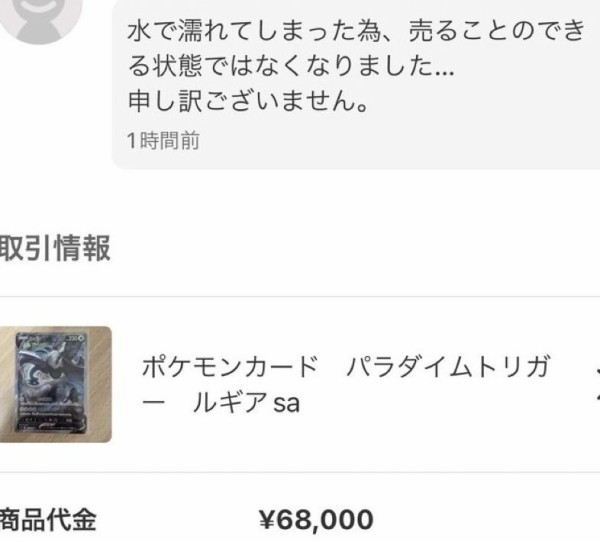 最安値で ルギアSA drenriquejmariani.com