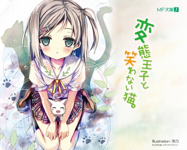 変態王子と笑わない猫 韓流アイドルのポスターが第3話に写り込んでいた事が判明 サムゲタンの再来か そくどく