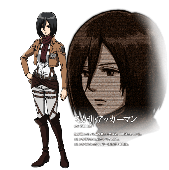 進撃の巨人 2月10日は最強ヒロインことミカサ アッカーマンちゃんの誕生日 ファンからケーキやイラストのお祝いが続々到着 14 そくどく