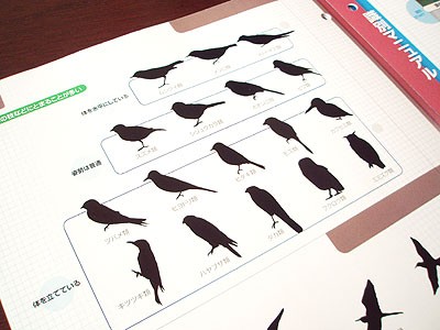 DeAGOSTINI - 週刊 野鳥の世界 : sola JOURNAL （β版）