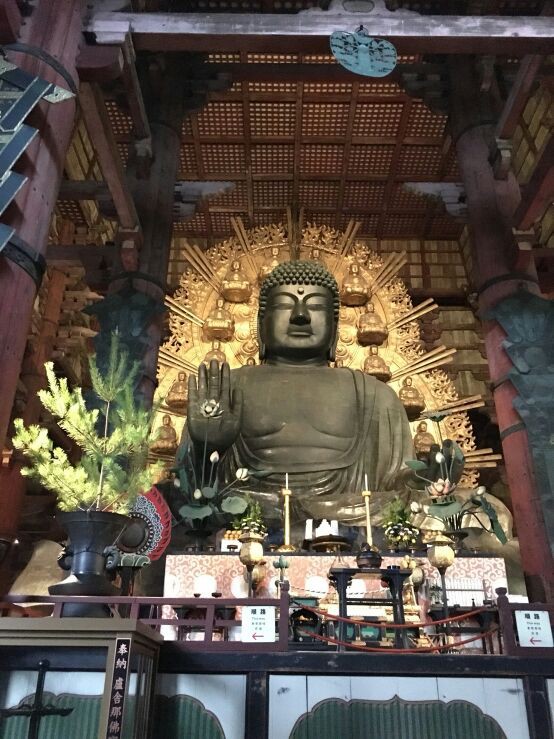 堂本剛　薬師寺/東大寺ライブ 堂本剛 薬師寺/東大寺ライブ 41BhHeLdfDL._AC_SY200_QL15_.jpg