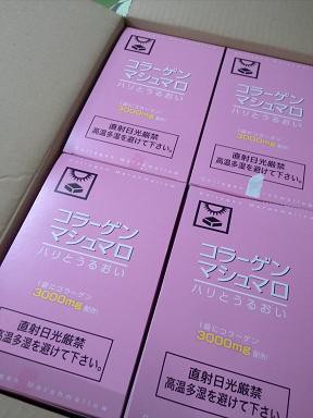 マシュマロ ありふれた毎日