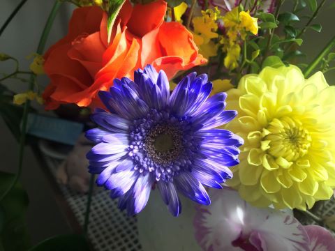 母の日の寂しい花束と嬉しい花束 ありふれた毎日