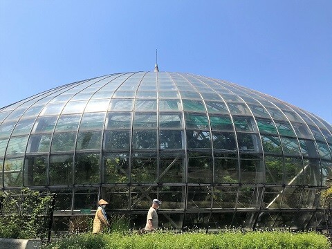 温室植物園さんぽ ありふれた毎日