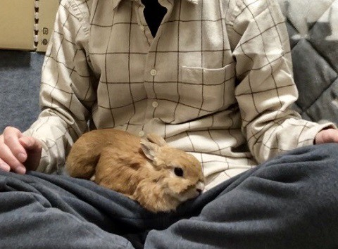 今日のティンちゃん ありふれた毎日